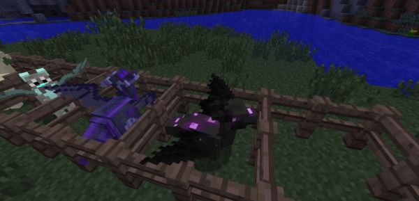 DecoyDragons ��� Minecraft 1.7.10