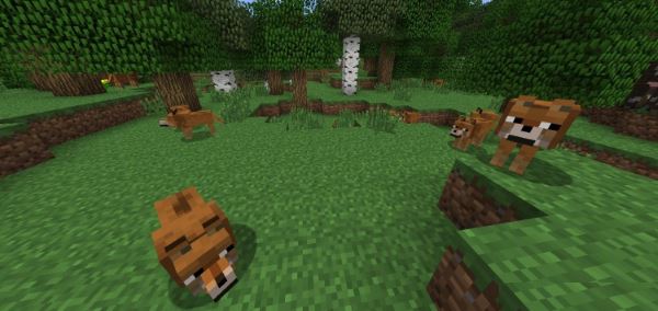 Doge для Minecraft 1.8 Doge для Minecraft 1.8