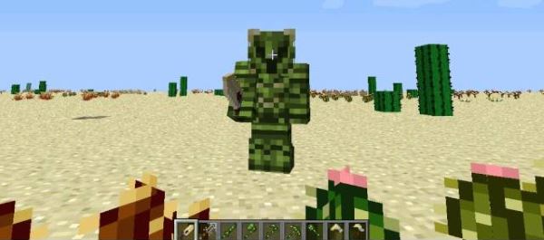 Pam�s Desert Craft ��� ��������� 1.10.2